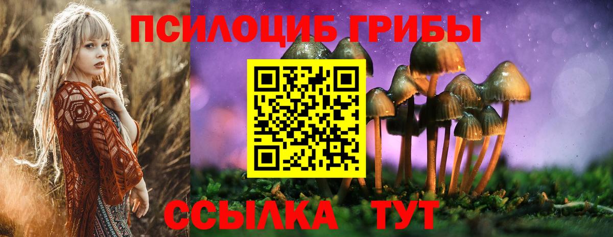 Карачаевск  Галлюциногенные грибы MAGIC MUSHROOMS  Вход с VPN 